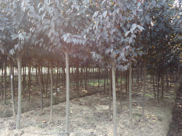 ????o¢??????????o¢??????? ?è????·? ?