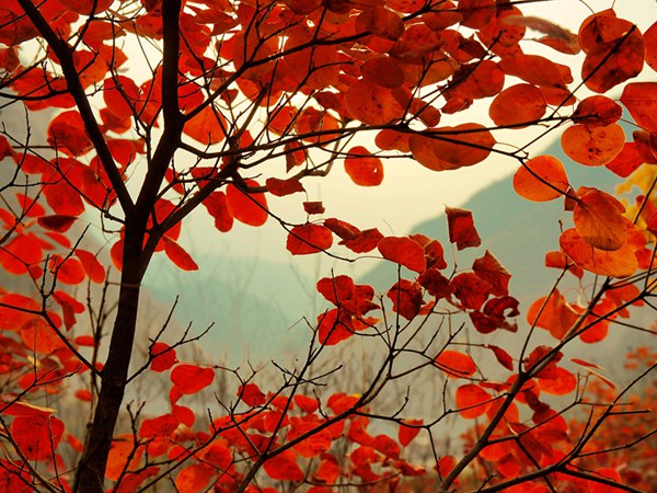 1619966624682512.jpg 894ca5fe731cce36.jpg