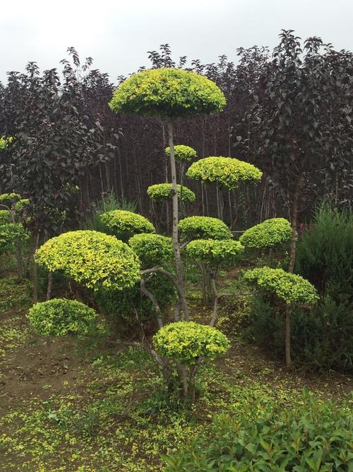 1620029803461270.jpg b0d94dca8fac499d.jpg