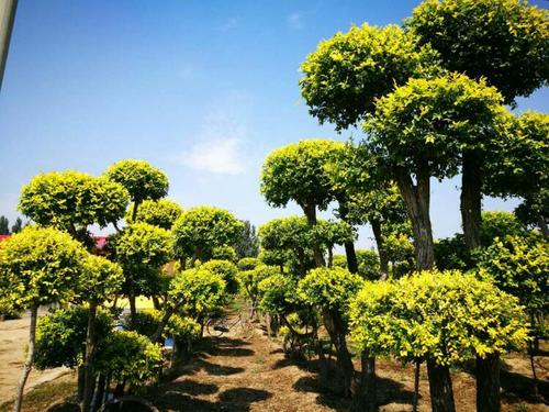 1620029819781927.jpg 1cc2f03bfd8cd83b.jpg