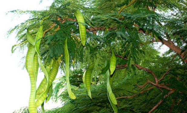 1633958391860317.png 1633958391860317.png