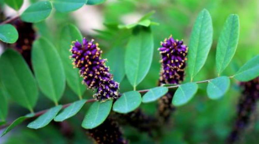 1634370496687690.jpeg 1634370496687690.jpeg