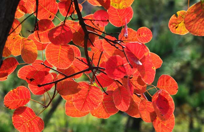 1634372892944857.jpg 1634372892944857.jpg