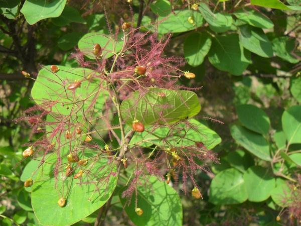 1634372912781013.jpg 1634372912781013.jpg