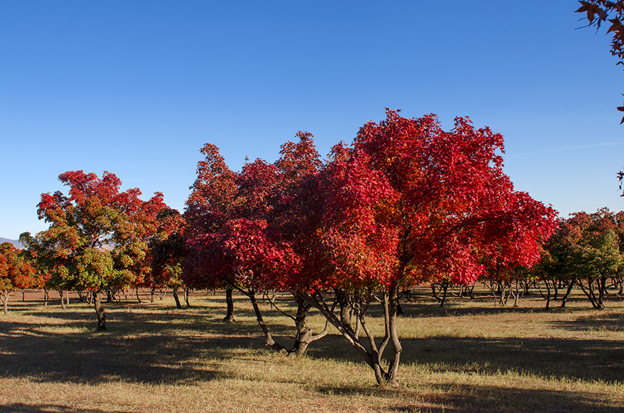 1634545653621087.jpg 1634545653621087.jpg