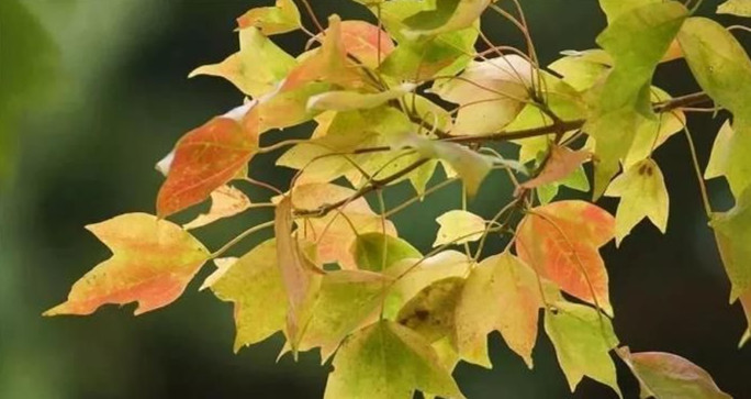 1634547872428017.jpg 1634547872428017.jpg