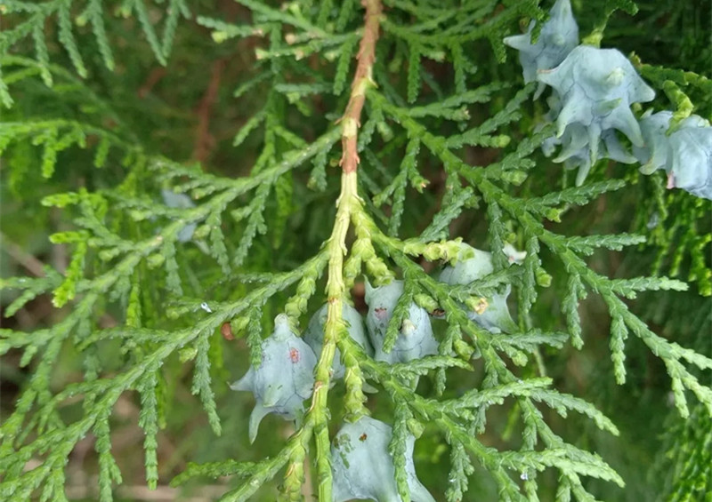 1636341374657714.jpg 33.webp.jpg