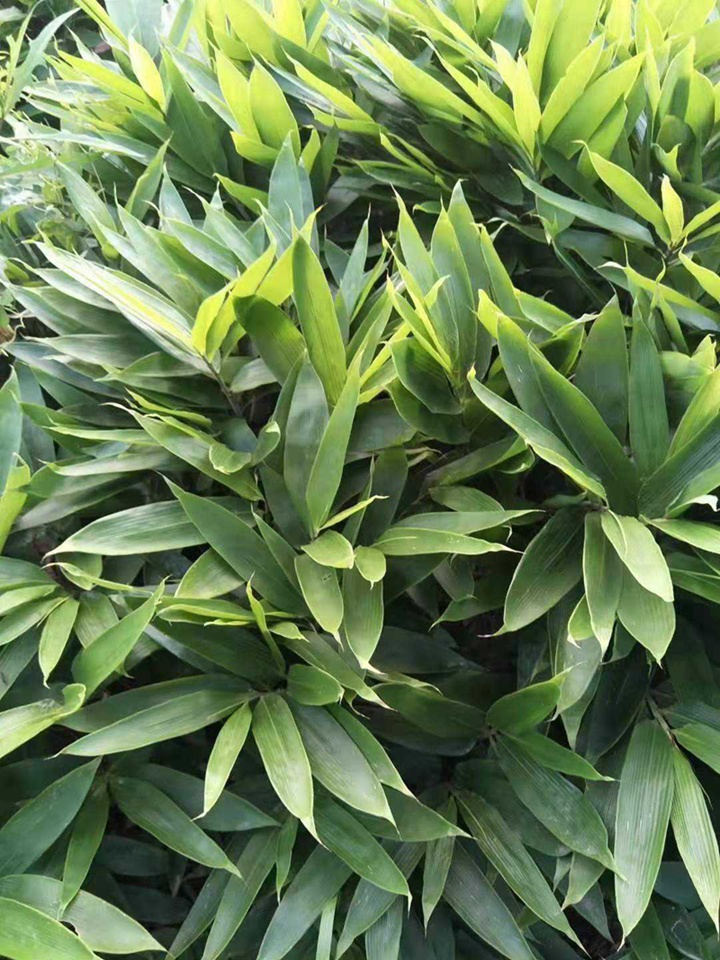 1670310801495006.jpeg 5c753cb6d3a597f8f32500cbb03f1e19.jpeg