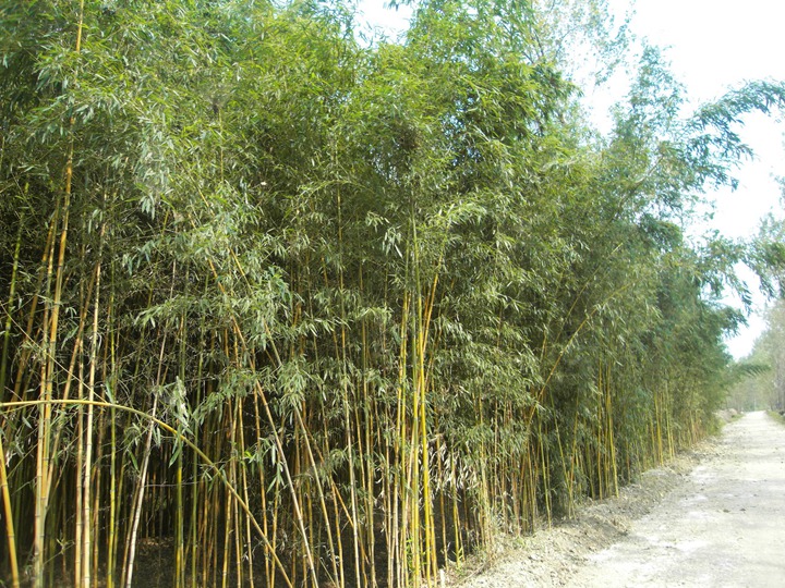 1671016077356866.jpeg 618e910e0498da3083eaa677caafe666.jpeg