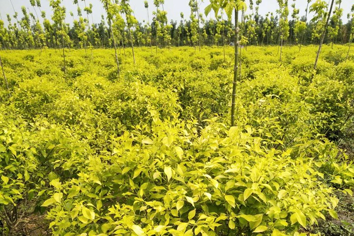 1686320648718277.jpg a2c24653a5e73f3a88ef2f2a8eb224b9_1686316112503314.jpg