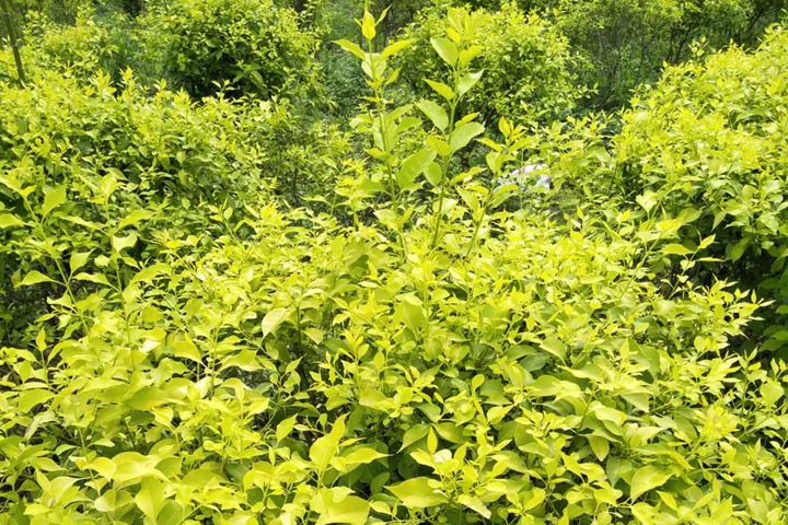 1686320707949978.jpg 4eaaa544d56e14041448d7c764a7de15_1686316122844239.jpg