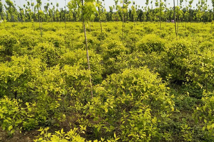 1686320748388844.jpg 49e6bf0093b4210eac30a4896ee784ee_1686316140723377.jpg