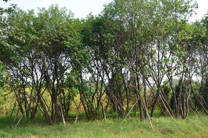 1686454748946490.jpg 5fbb22fd1d2298ceaf2224a598d6f8cb_1646896685719001.jpg