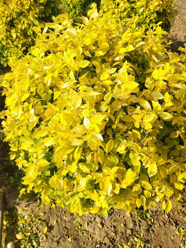 1730788305420791.jpg 14.jpg