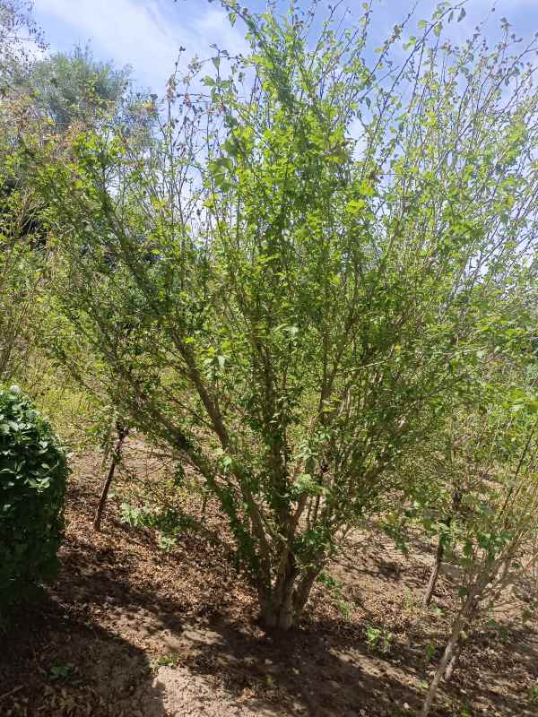 1733453650772872.jpg IMG_20220924_113704.jpg