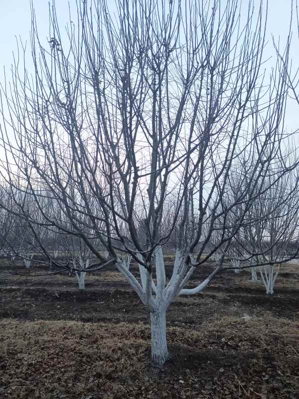 1734327101792984.jpg IMG_20230213_181407.jpg