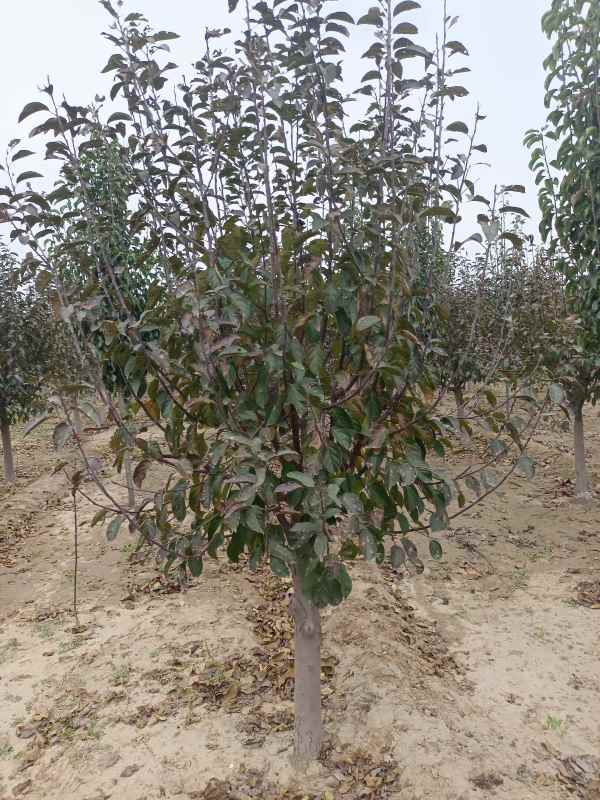 1734328713975444.jpg IMG_20211018_130511.jpg