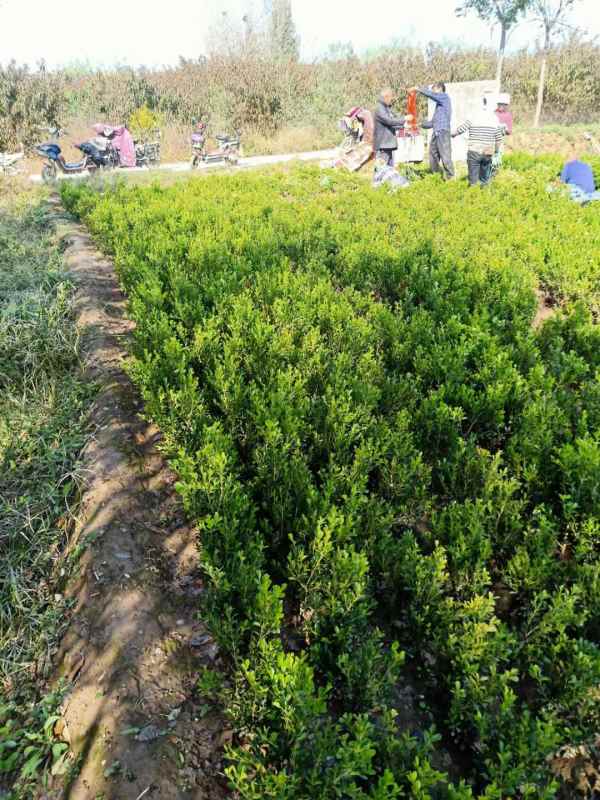 1734413487214897.jpg mmexport1634795025814.jpg