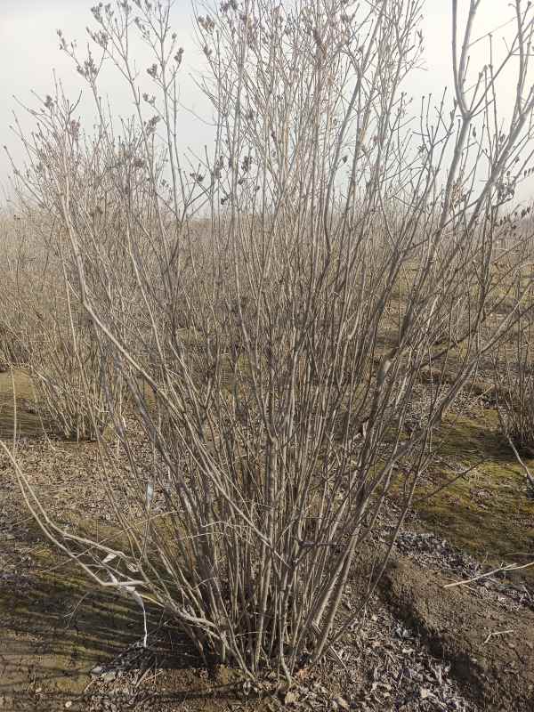 1734678869302001.jpg IMG_20230221_102043.jpg