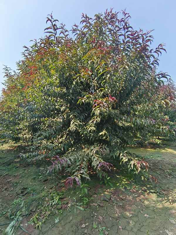 1734761151301912.jpg IMG_20230831_095740.jpg