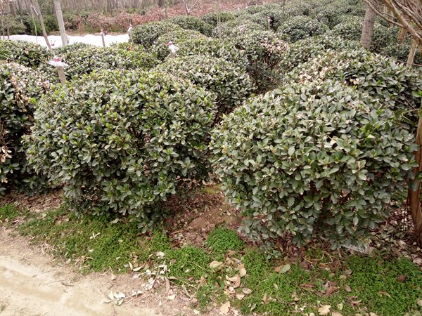 1760405109573063.jpg 1753230274164168.jpg